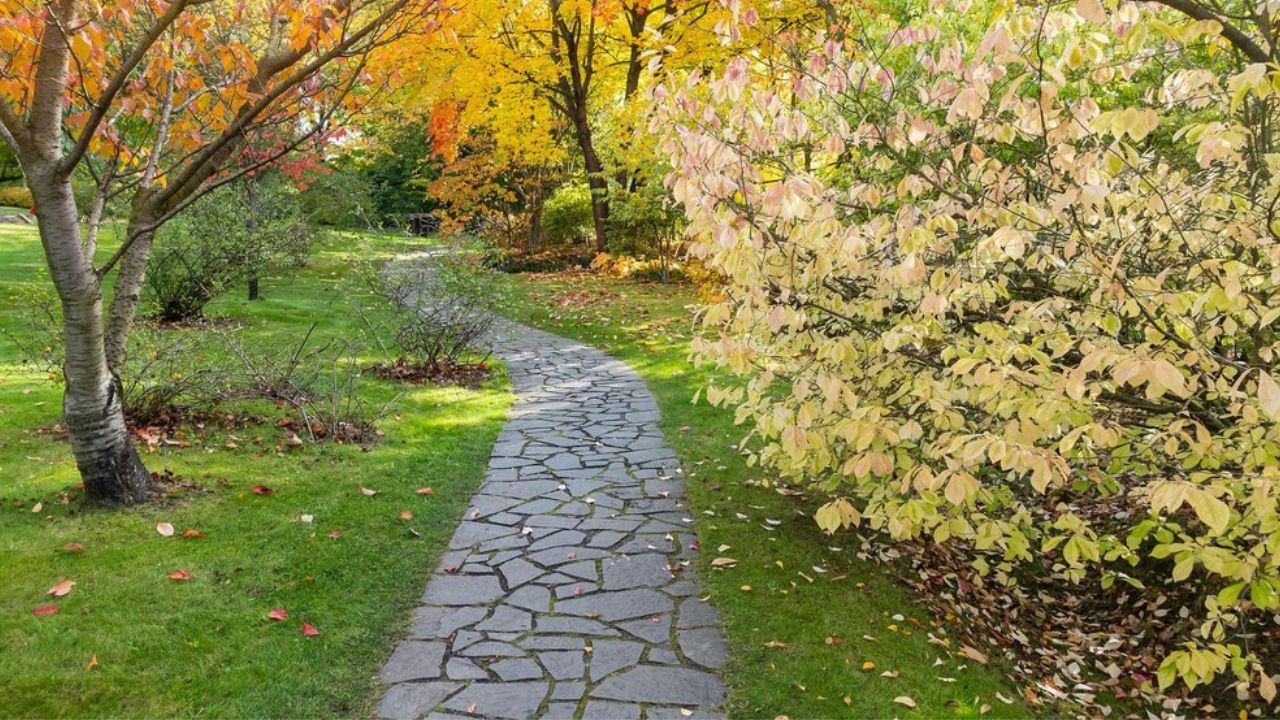 How much does it cost to do a paver walkway? Pavers Experts