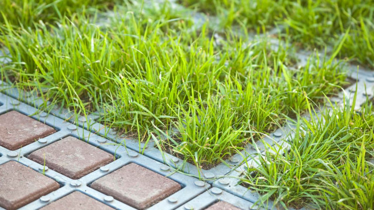 How Much Do Permeable Pavers Cost? Pavers Experts