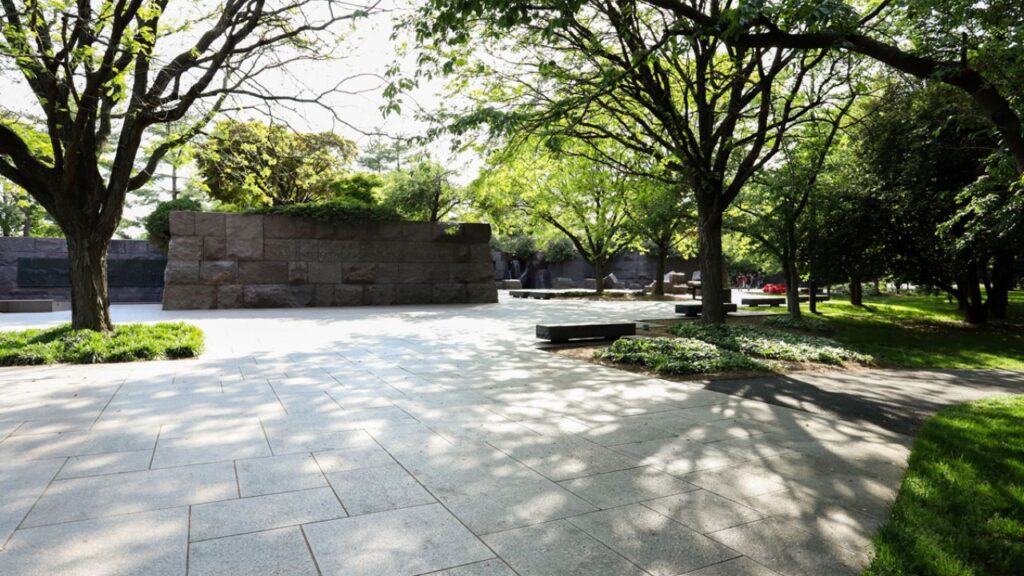 pavers for around trees