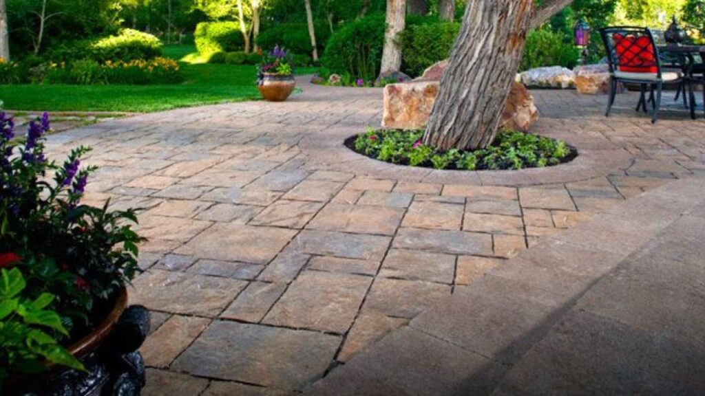 pavers for around trees