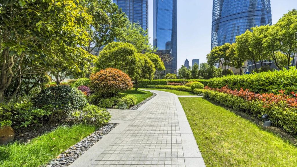 Pathway