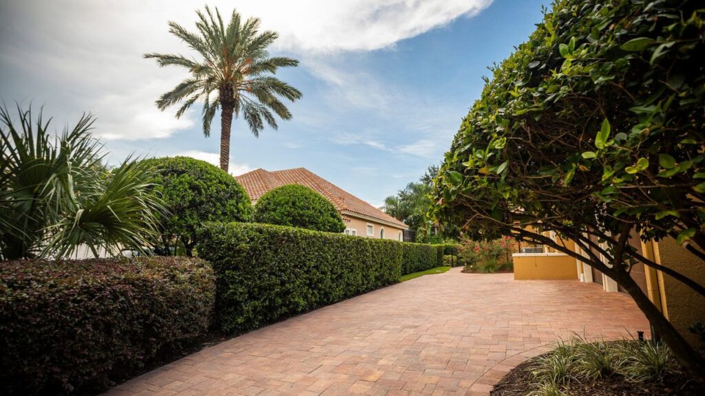 pavers for around trees