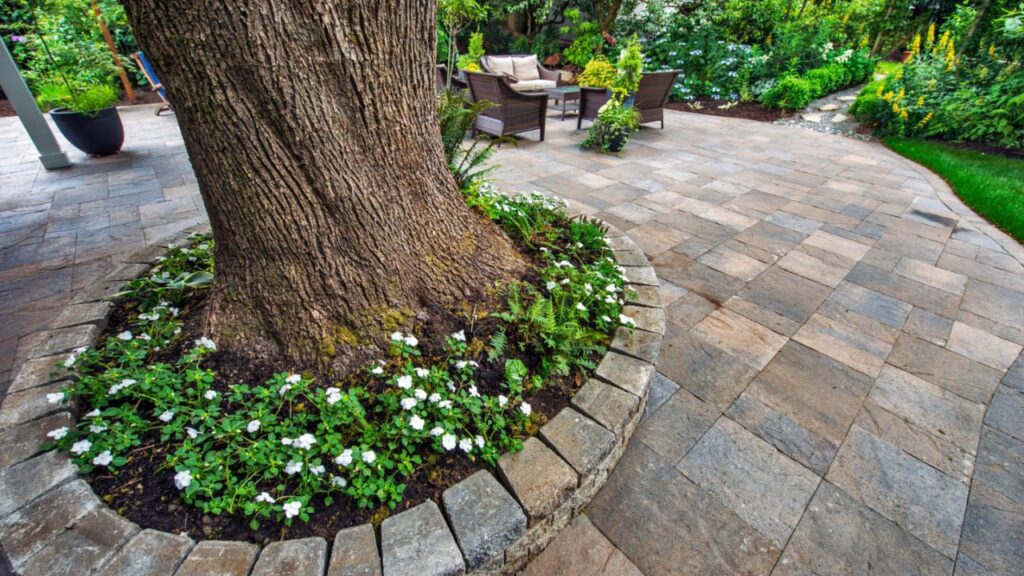 Pavers Around Tree Projects